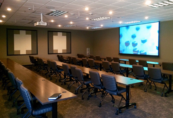 Audio video conferencing solutions